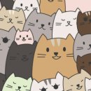 네코모리 이미지