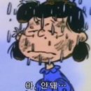 이쁘면다냥 이미지