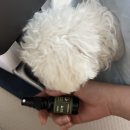 스니피드 이미지