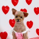 도기살롱 이미지