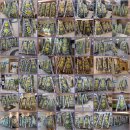 효원모터스 이미지