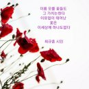 꽃들도 - 칠곡군 자조1길 9-18 | 꽃들도