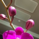 푸른봄공인중개사사무소 이미지