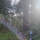 웰링턴뷰 이미지