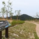 아지동