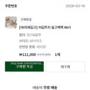 리드팩 | 내 애착가방 추천 | 어답트미 쉽고백팩 내돈내산 후기