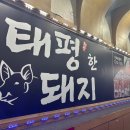 태평한돼지