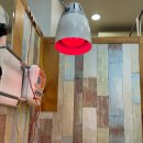 이원당한의원 이미지