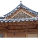 담 Daum카페