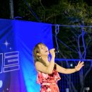 한여름 밤 낭만콘서트 이미지