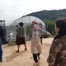 성수문량길 이미지