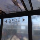 버스정류장 : 영천여고 앞 이미지
