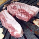 신바람하우스 이미지