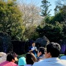 자연사박물관 봄봄 야외 음악회 이미지