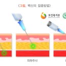 소아의 예방접종시기 알아두자 이미지