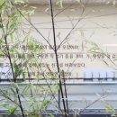 광안역 1번출구 편백미즈한의원 앞 이미지