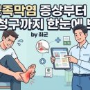 반달실비