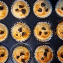 오늘의 댕댕 이미지