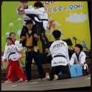 포올 석사 태권도 | 충주태권도 포올석사태권도, 아이들의 성장을 위한 최고의 태권도장