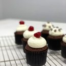 (12/2)초콜릿 컵케이크 이미지