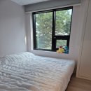 머물다 주도 이미지