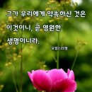 무촌