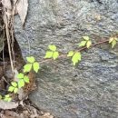 생명의 기쁨 이미지