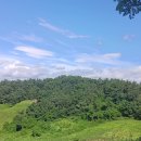 편백숲하우스울산