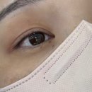 서초제일약국 | 양재눈썹 추천 은은희브로우, 브라운계열 아이라인 디자인 받아본 후기