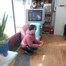 # 금포국민학교졸업 장세영이용소 금빛대학졸업.&amp; 이미지