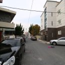 우송대학교 남문 사거리 이미지