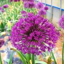 하청농장 이미지