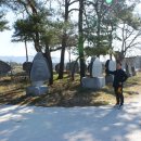 호암 시비공원 이미지