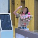 해피플 네이버블로그