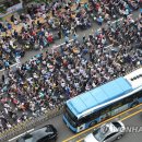 세종대로 이미지