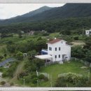 컴투펫 위탁보호센터 이미지