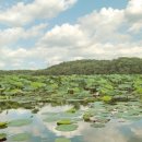 덕우낚시터 이미지