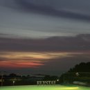 엘리스테이보령 이미지