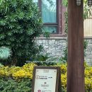 꿀단지 아이스크림&간식 | 홍콩 4박5일 day4. 홍콩 디즈니랜드 티어1 이용 후기 / 놀이기구 추천 / 모멘터스