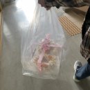 신사임당떡 | 엄마 환갑선물 돈부채, 돈병풍, 창원중앙역 설기은은 숫자떡케이크 후기