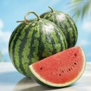 168.상패동행정복지센터_2 | 청주과일가게 오늘의과일 송절점에서 만난 앵두포도 딸기 수박 컷팅과일 천혜향 후기요