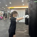 슈가복싱 프리미엄 이미지