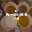 호텔소풍 | 천안 파티룸, 천안역 근처 성정동 <소풍>에서 밤새 놀기!