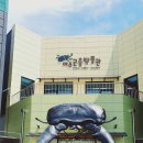 여주곤충박물관 이미지