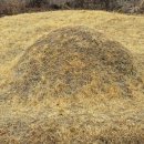 굴바위민박 이미지