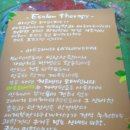 손애발애