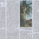 덩어리 이미지