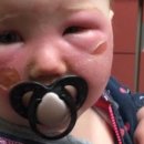 (주)유나이티드인터팜 이미지