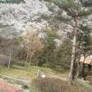 순흥농원 이미지