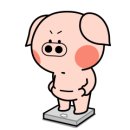 고산흑염소 이미지